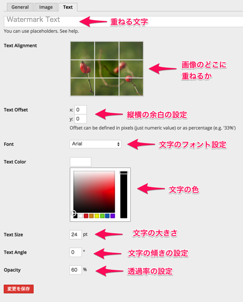 Easy Watermarkの文字設定