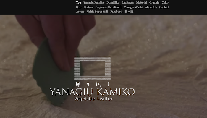 Yanagiu Kamiko on Strikingly