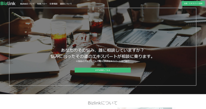 Bizlink