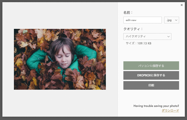 Fotorの画像を保存する