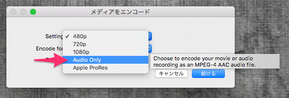 Audio Only（音声のみ）を選択する