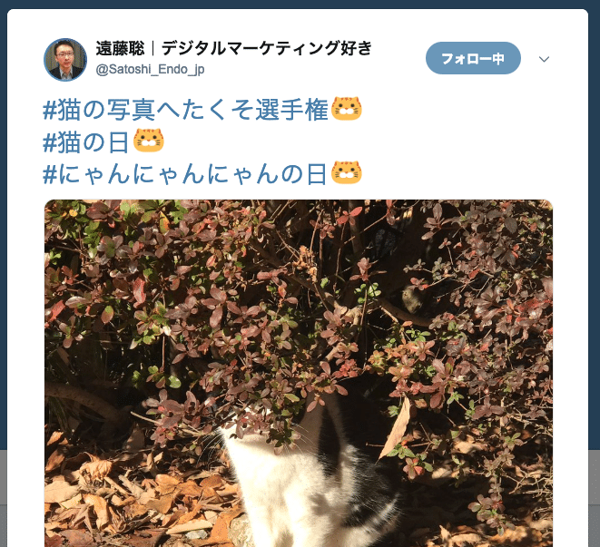 Twitter 猫の日ハッシュタグ