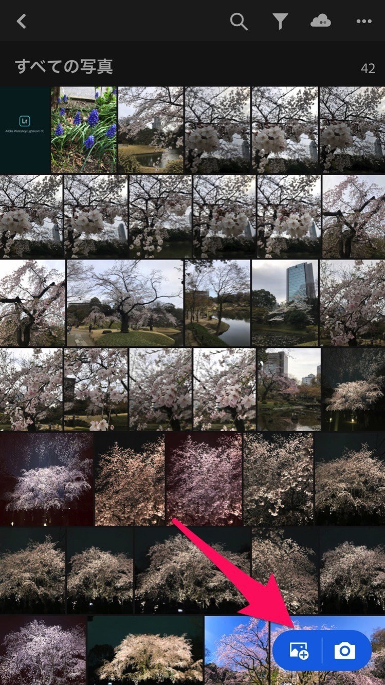 Lightroomに写真を読み込む