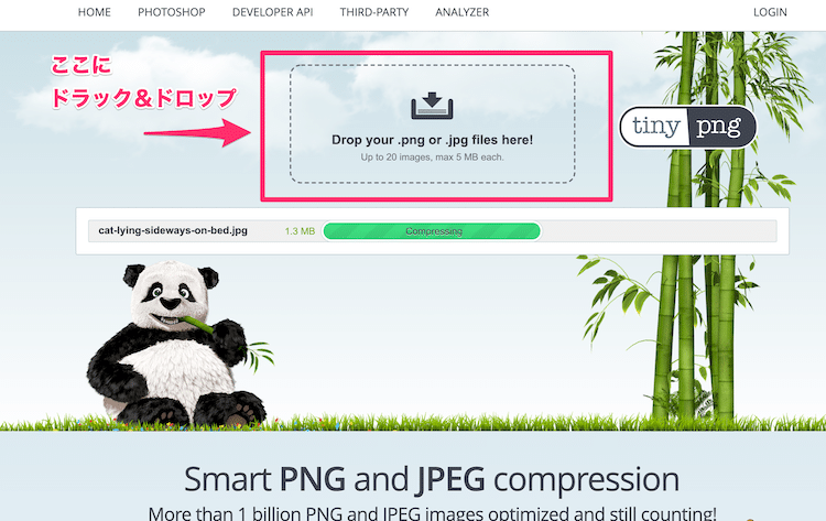 画像圧縮サービス Tinypng で猫の写真を圧縮してみた Webマスターの手帳