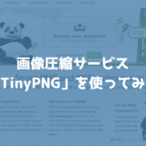 画像圧縮サービス「TinyPNG」で猫の写真を圧縮してみた