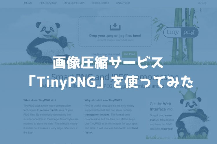 画像圧縮サービス「TinyPNG」で猫の写真を圧縮してみた