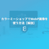 【解説】カラーミーショップでWebP画像を使う方法。ネットショップの表示速度を早くしよう！